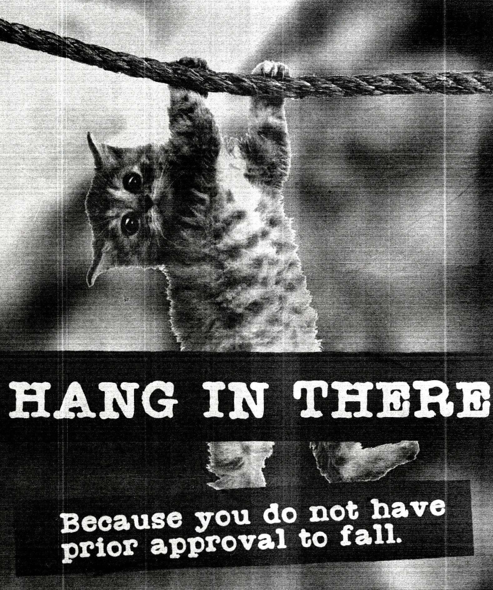 A cat hanging from a rope. The text says, "Hang in there-- because you do not have prior approval to fall."